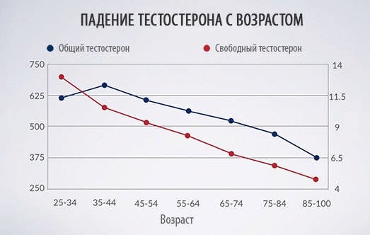 Потенция как поднять таблетки