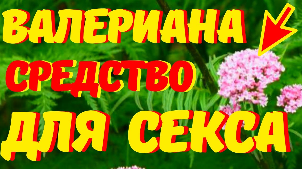 Как увеличить количество спермы с иллюстрациями