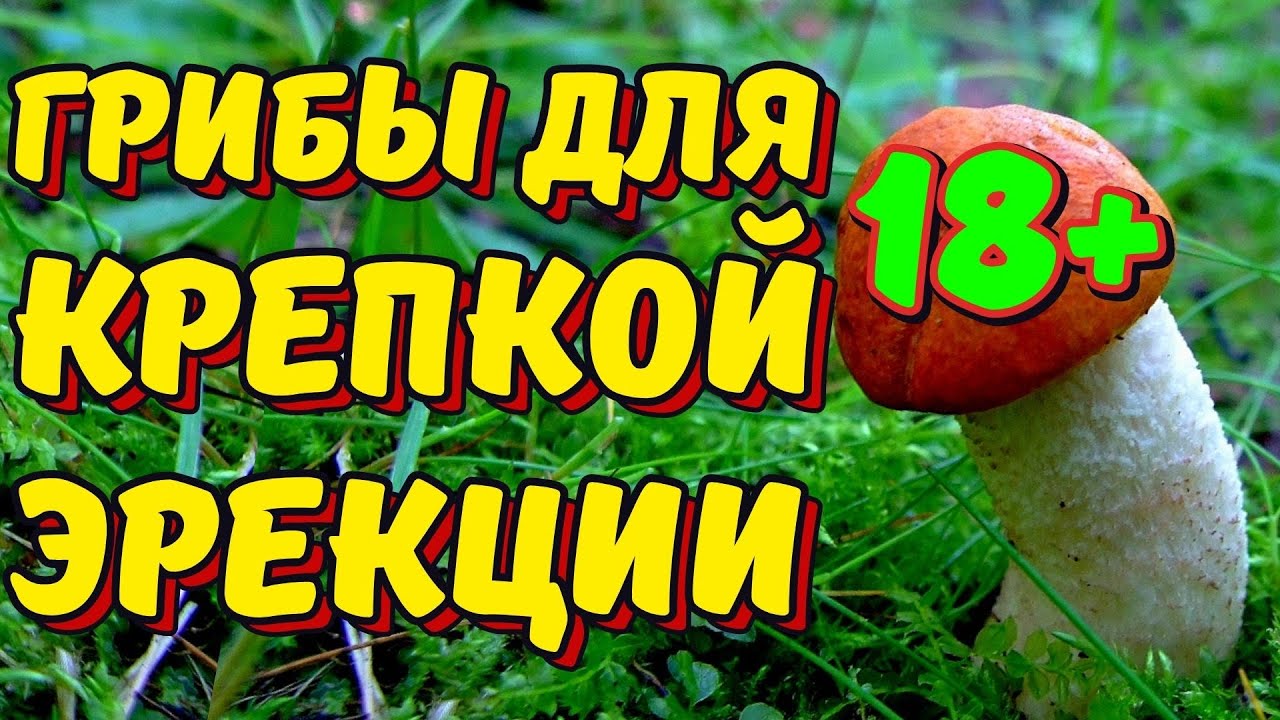 Как долго не кончать и что делать когда быстро кончаешь