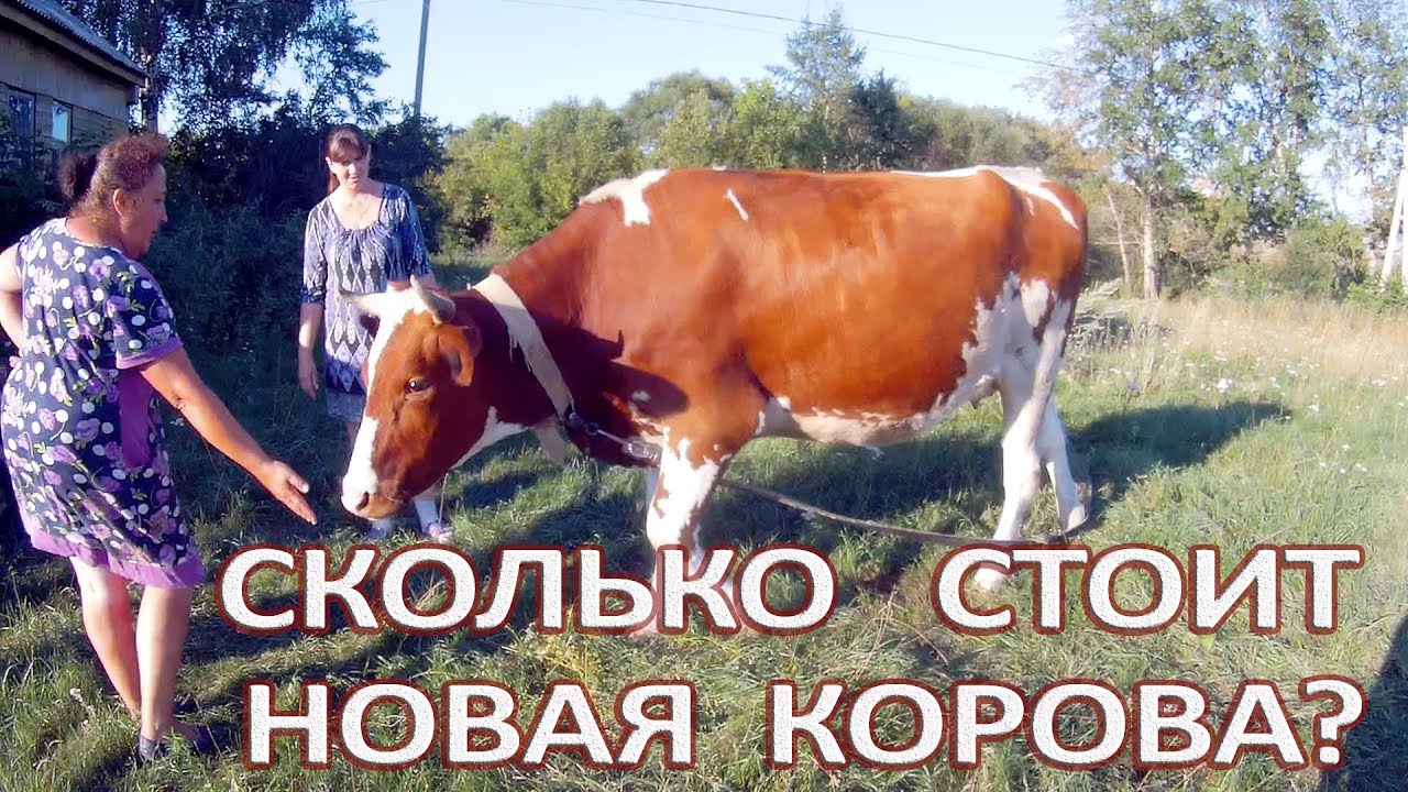 Купить виагру Тюмень. Где в тюмени купить женскую.