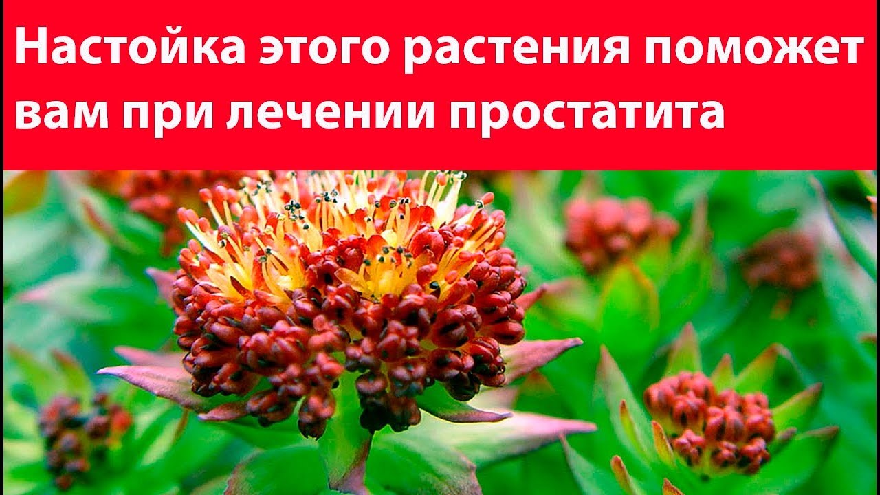 Простых и надёжных способов повысить потенцию без таблеток
