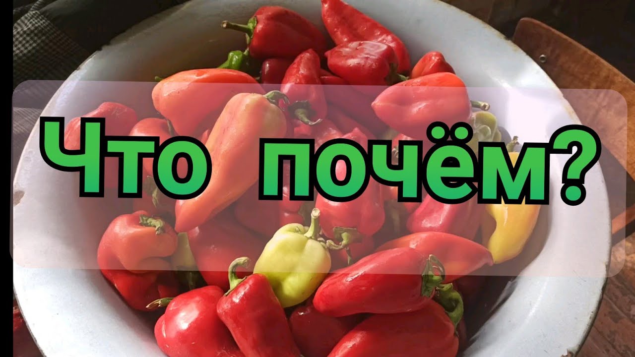 Купить Небидо в аптеке - цена Небидо в Москве с доставкой на.