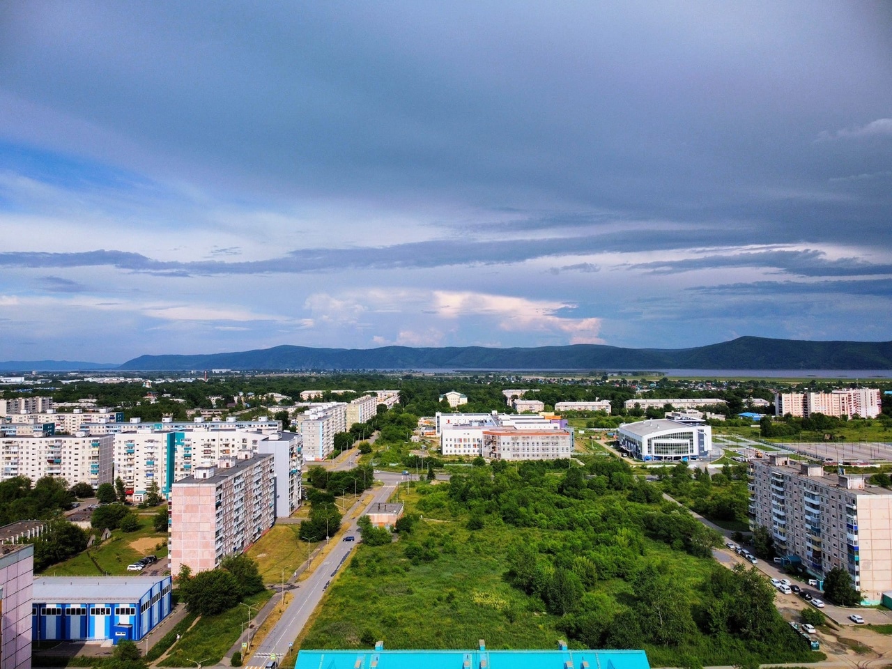 Купить недорого кошку или котёнка в Комсомольске-на-Амуре.