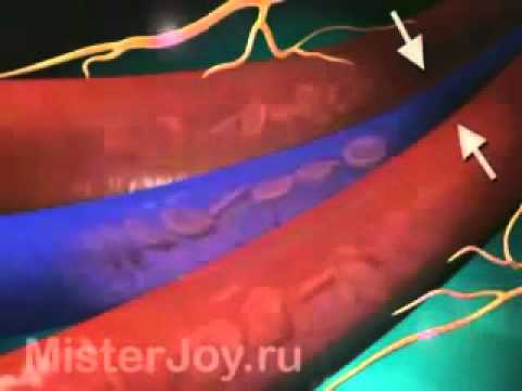Виагра - официальная инструкция по применению, аналоги, цена.