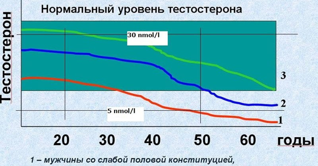 Потенция у мужчин в 40 лет причины и симптомы проблем, как улучшить.