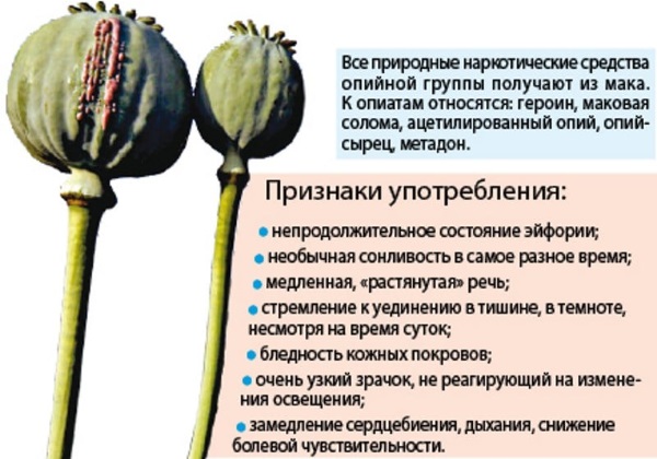 Rating-of › 1386-luchshie20 лучших препаратов для потенции - рейтинг 2023
