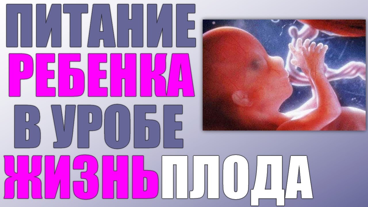 Тадалафил-СЗ — инструкция по применению, дозы, побочные.