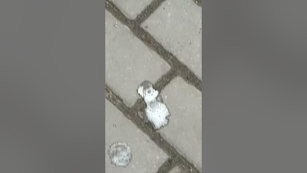На мужчин эффект, противопоказания.