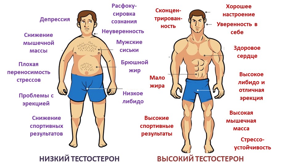 Лучших препаратов для потенции у мужчин плюсы и минусы
