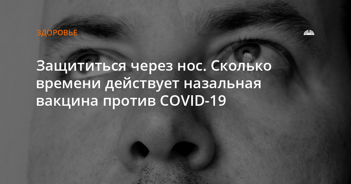 Импаза инструкция, аналоги, как принимать — все про препарат Compendium