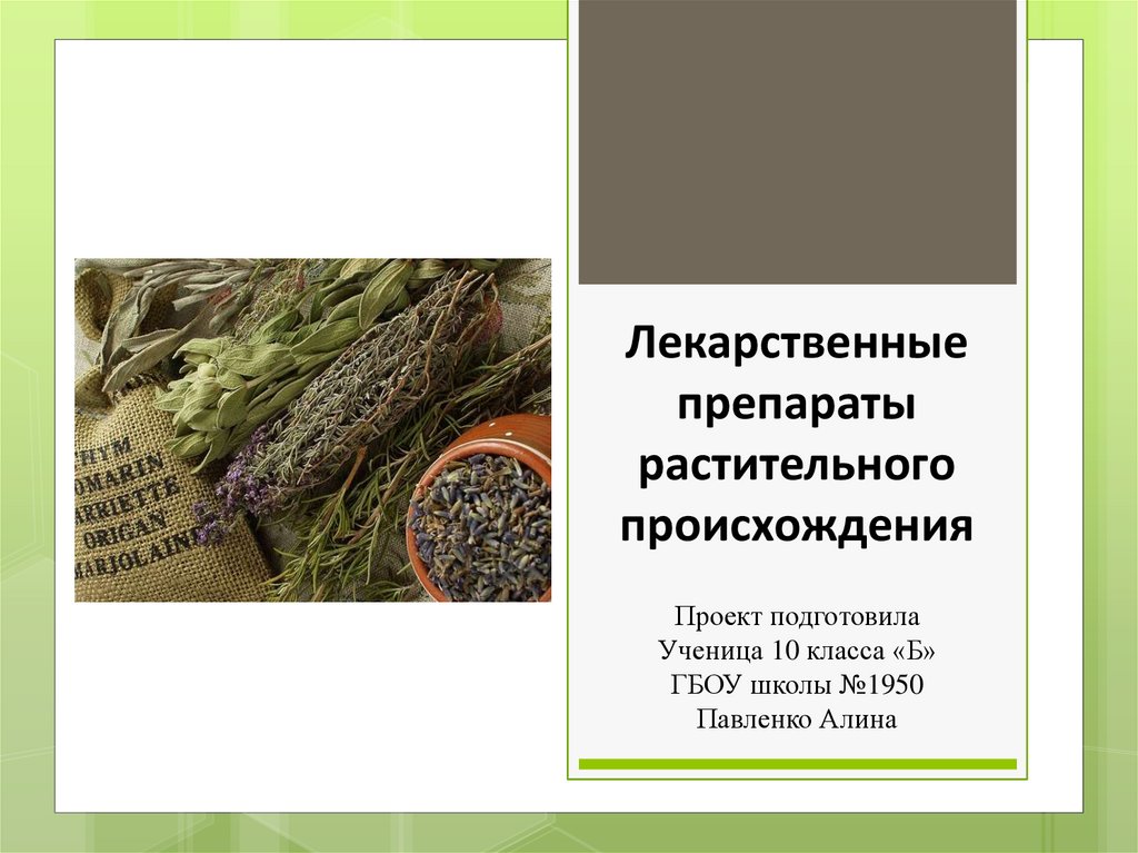 Обзор лучших аналогов Виагры на 2024 год