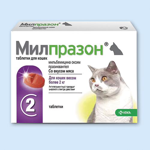 Таблетки Динамико отзывы мужчин, инструкция по применению.