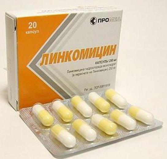 Лучшие таблетки для повышения потенции мужчинам список топ-5.