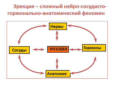 Каверджект