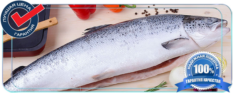 Preparaty › viagraКупить Виагра - Аптека в Израиле