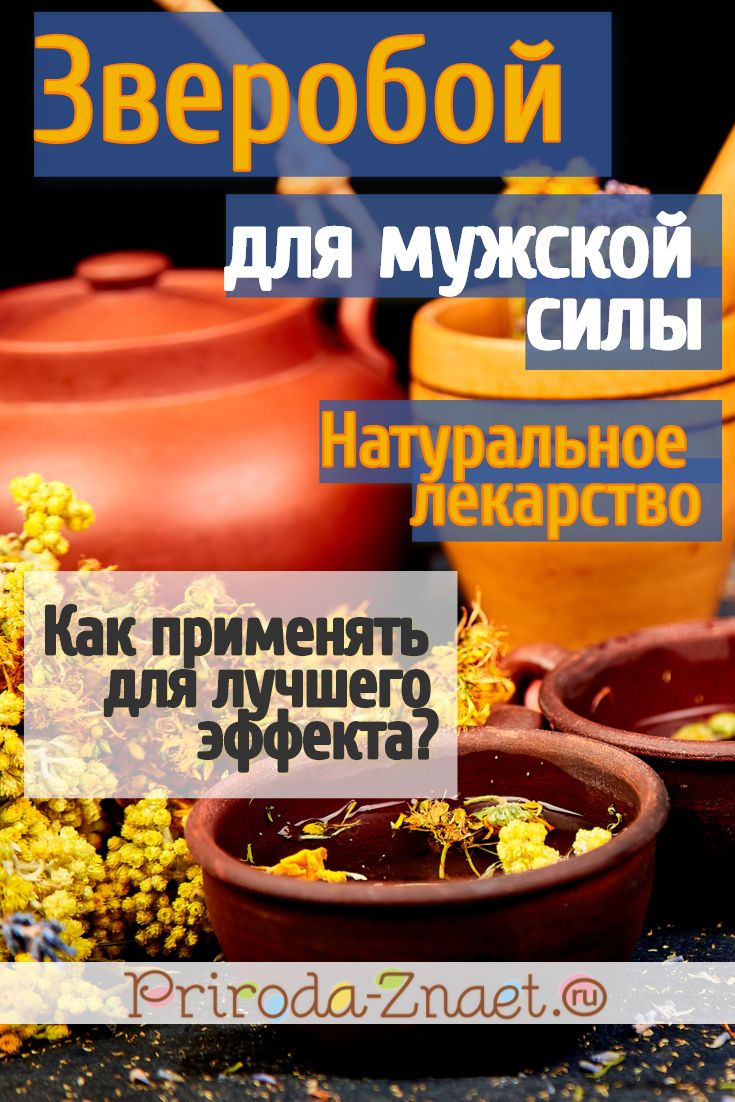 Самых лучших препаратов для потенции мужчин, какие дают улучшение и.
