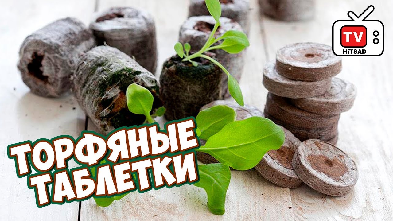 Таблетки для потенции - купить препараты для повышения.