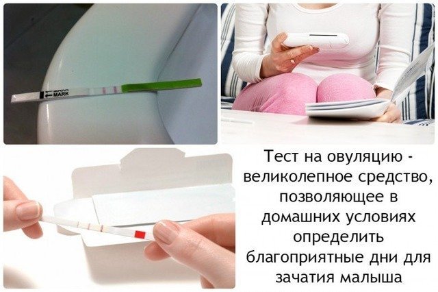 Через сколько и время действия Виагры, оптимальное время.