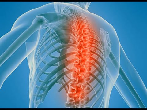 Какими лекарствами можно поднять потенцию – โครงการจัดทำผัง.