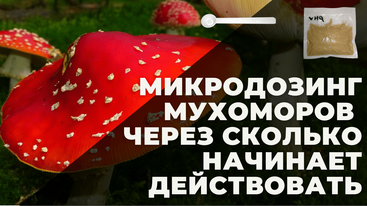 Что лучше Импаза или Тадалафил? Сравнение препаратов и выбор.