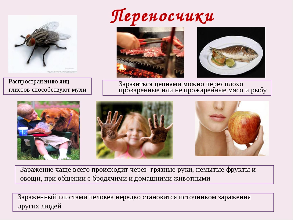Виагра – инструкция, цена в аптеках Украины, применение