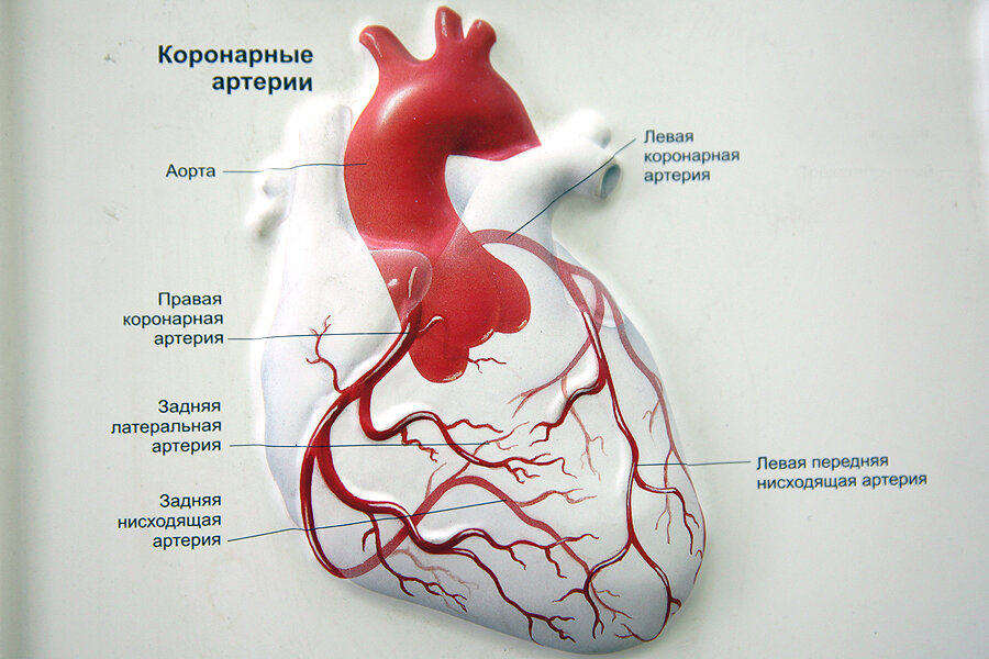 Виагра — инструкция по применению, дозы, побочные действия, описание.