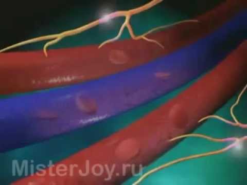 Действие Виагры на женщин какое влияние оказывает препарат?