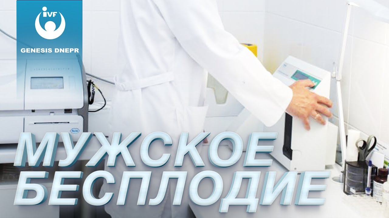 Мужское здоровье потенция таблетки — ЕГЭ Плюс