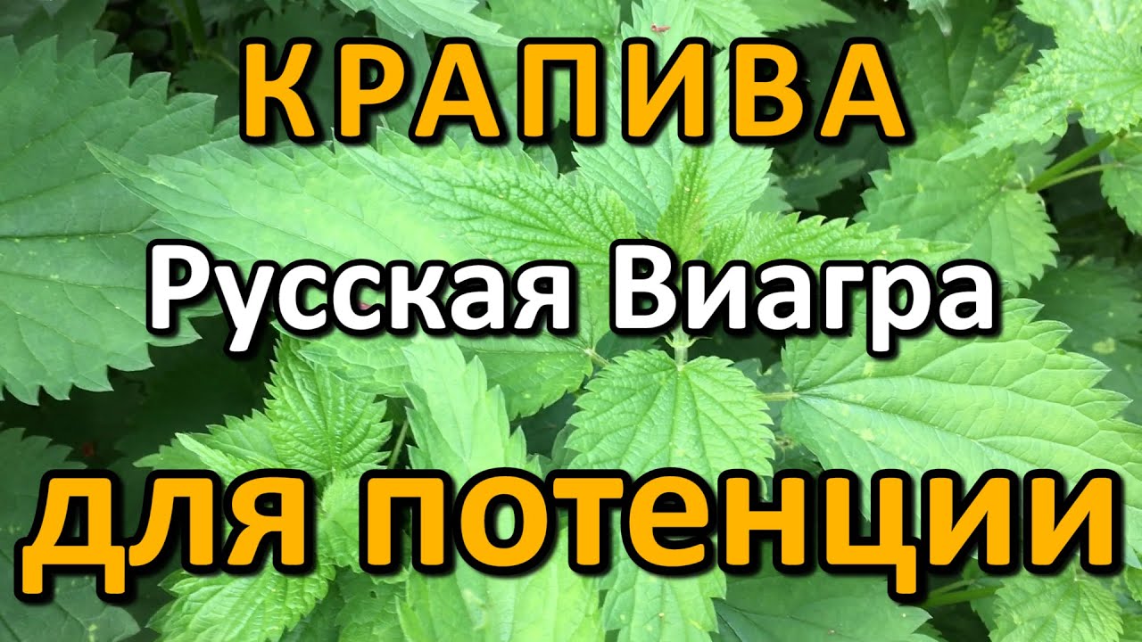 Лучших аналогов Виагры - Сексология - Статьи - Поиск Лекарств