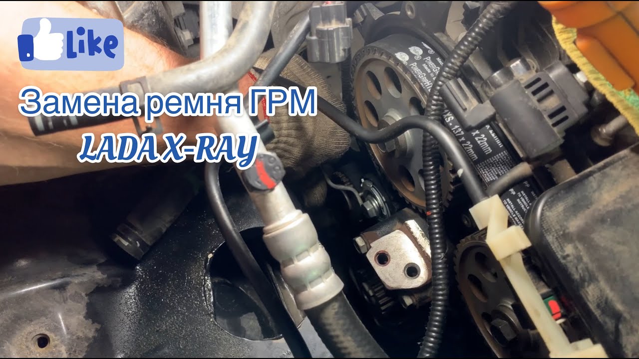 Что такое Каверджект - тест и как его делают?