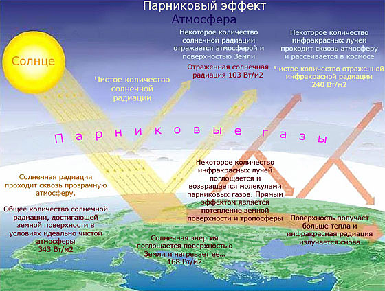 Sredstva-dlya-potencii-iТаблетки Виагры для мужчин действие, побочные эффекты