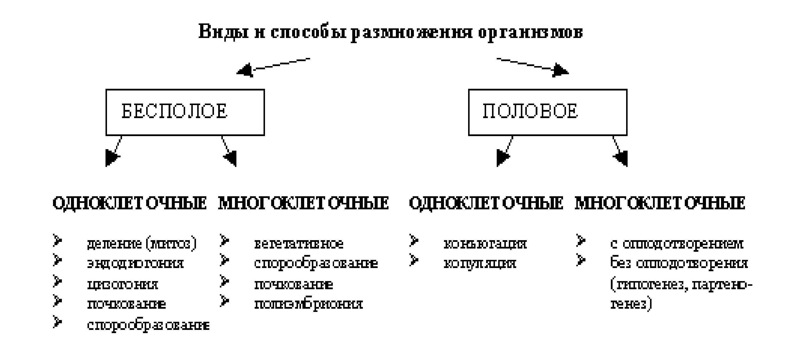 Полового акта у мужчин норма и отклонения