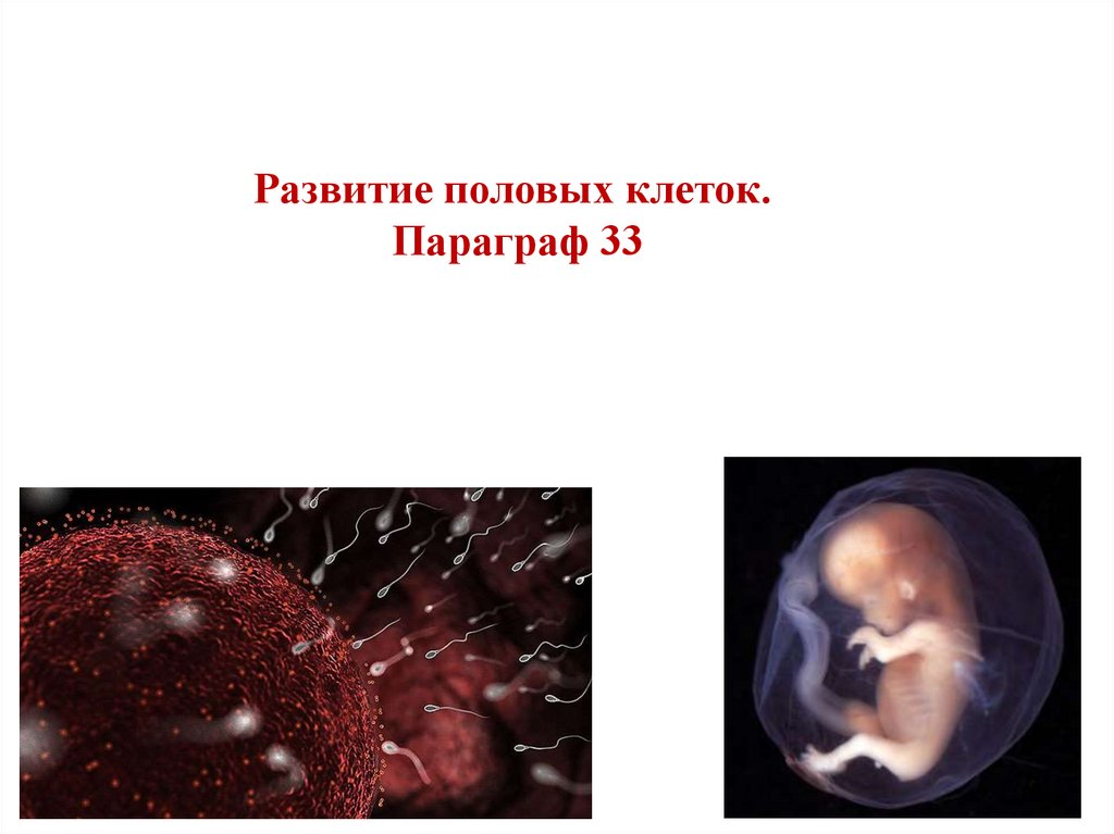 Kak-prodlit-polovoj-akt-u10 способов продления полового акта. Как продлить половой акт.