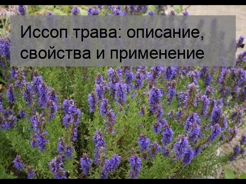 Применению показания, противопоказания.